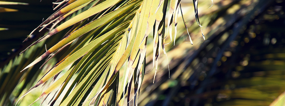 ddos在线攻击工具