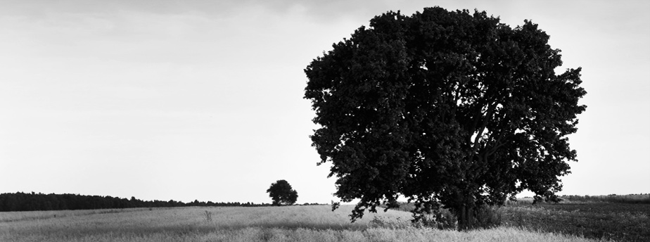 攻击网站在线工具